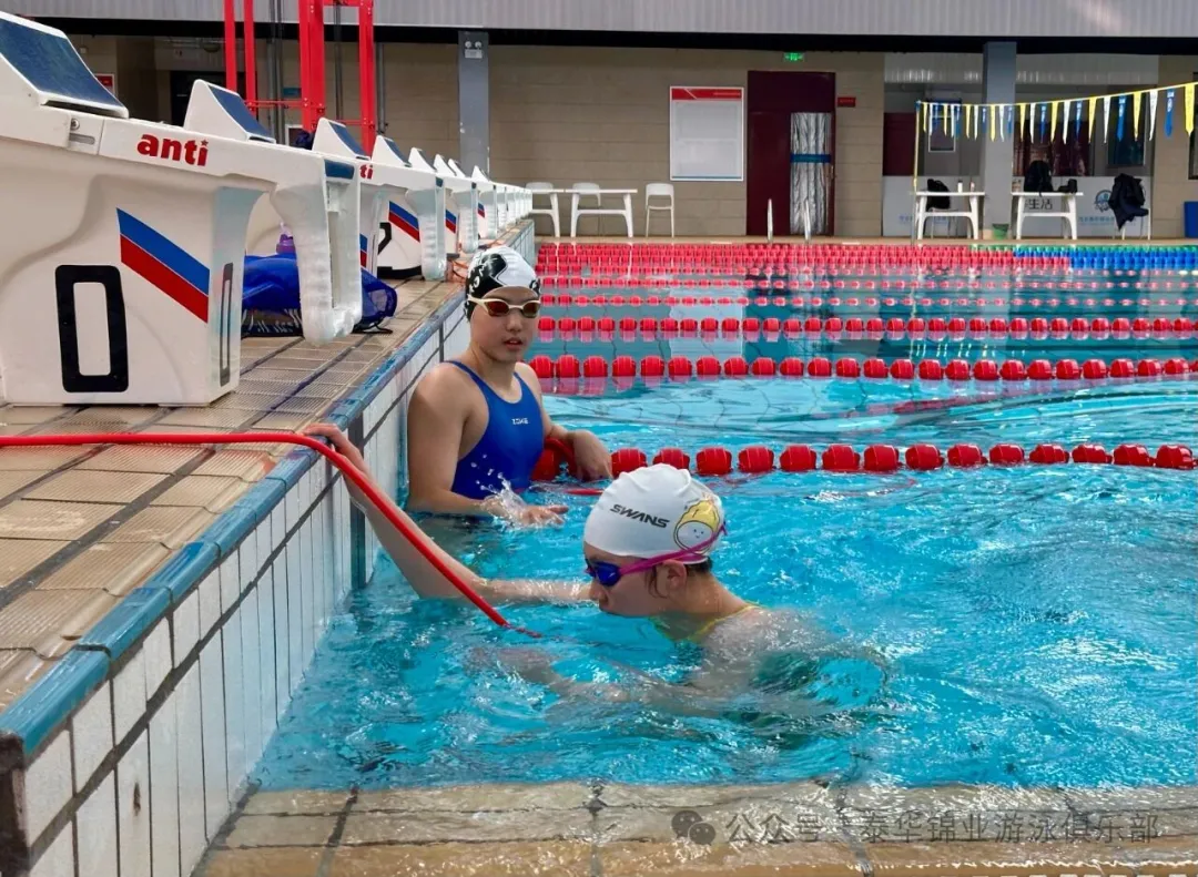 河北泰华十五运再立新功，省企联办铸就河北游泳十年辉煌