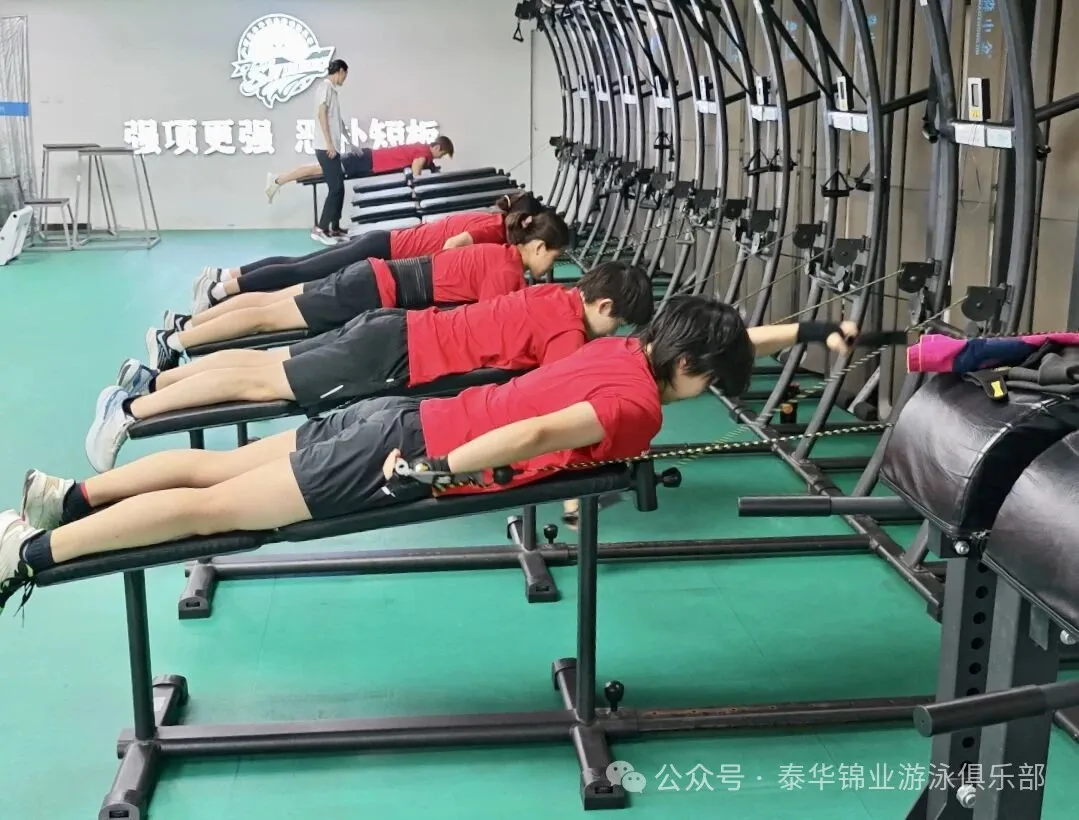 河北泰华十五运再立新功，省企联办铸就河北游泳十年辉煌