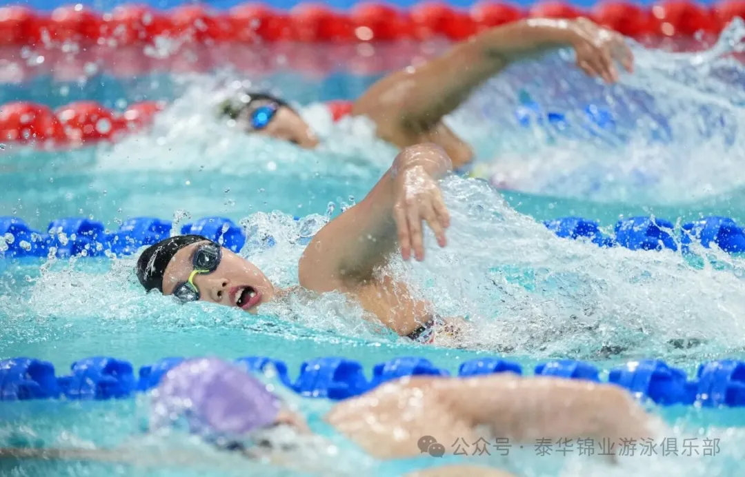 河北泰华十五运再立新功，省企联办铸就河北游泳十年辉煌