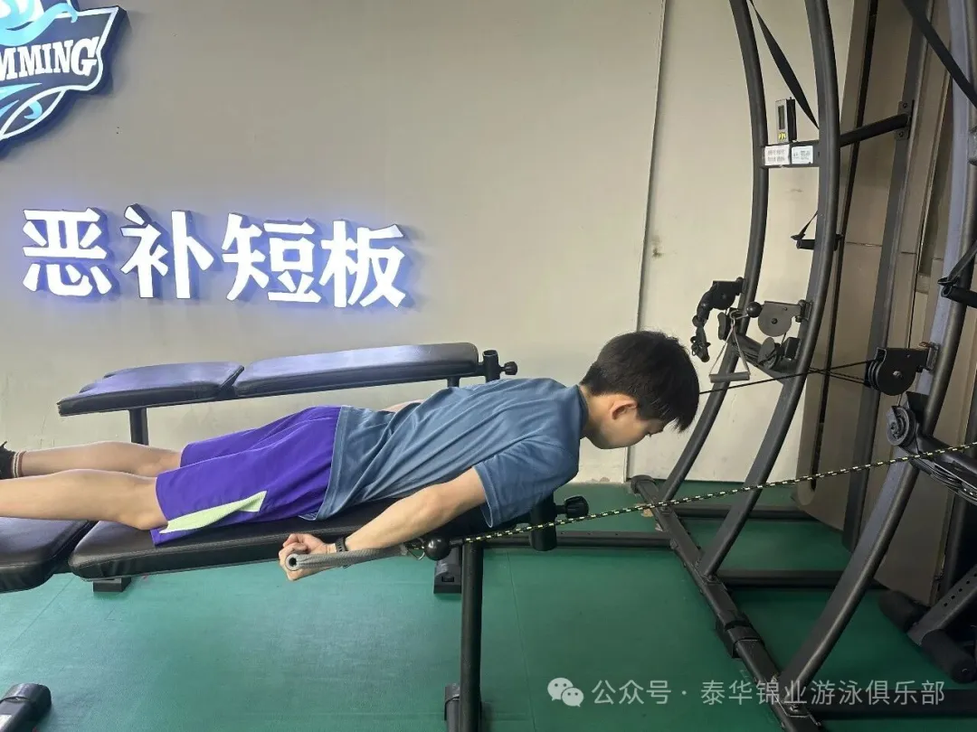 河北泰华锦业游泳俱乐部：冬季集训，一场用力更用心的托举